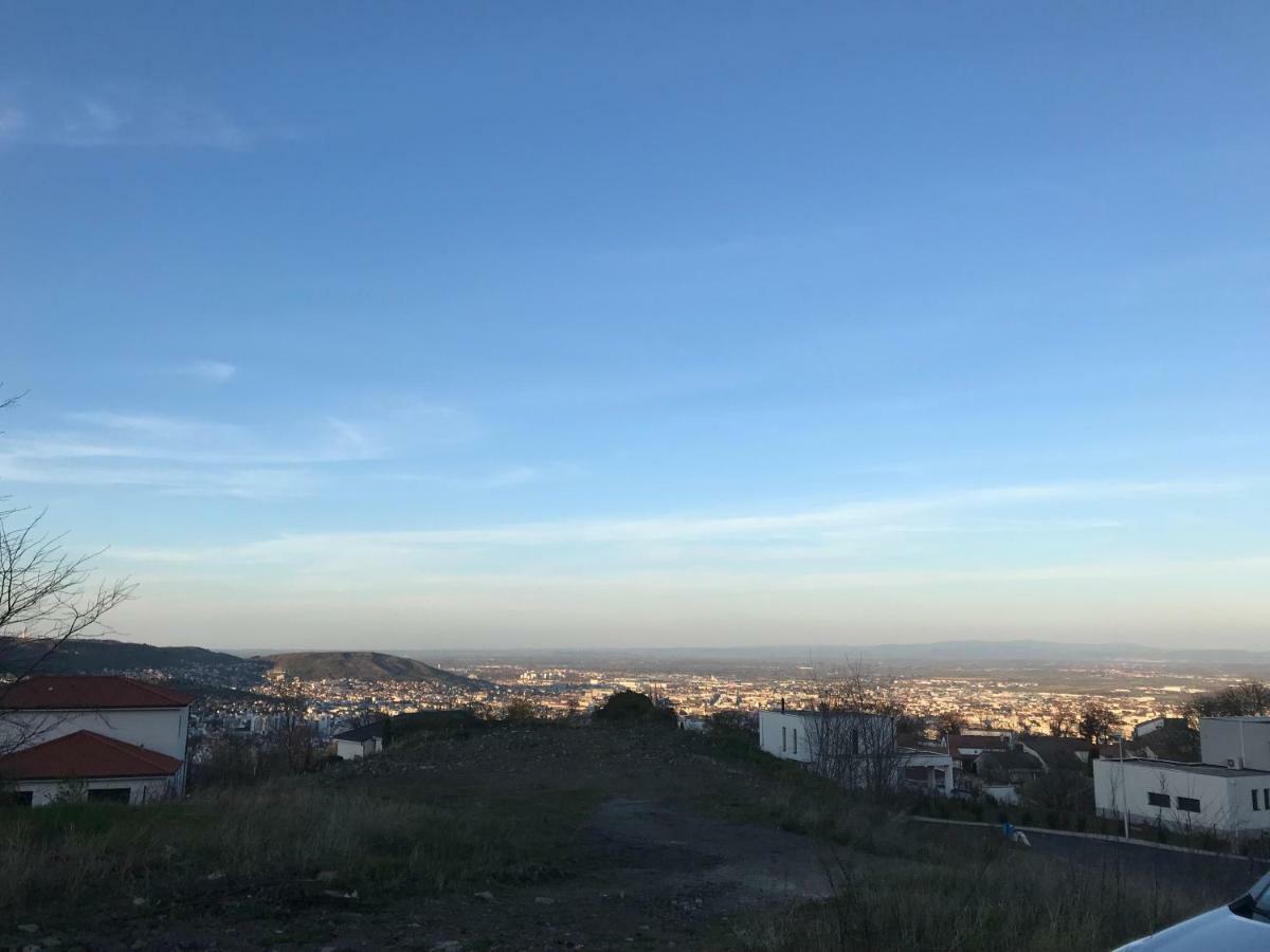 Villa רויה מראה חיצוני תמונה